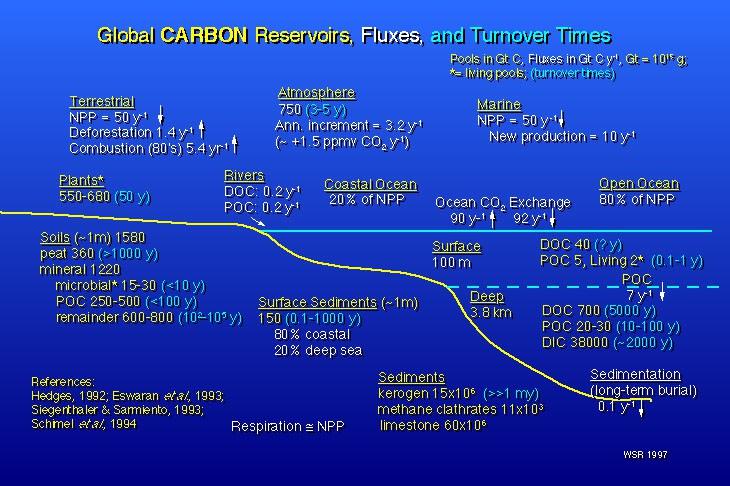 Figura 9 - Reservatórios, fluxos e tempos de residência do Carbono. Fonte: Disponível em: http://www.ess.uci.edu/~reeburgh/fig1.