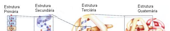 Estrutura