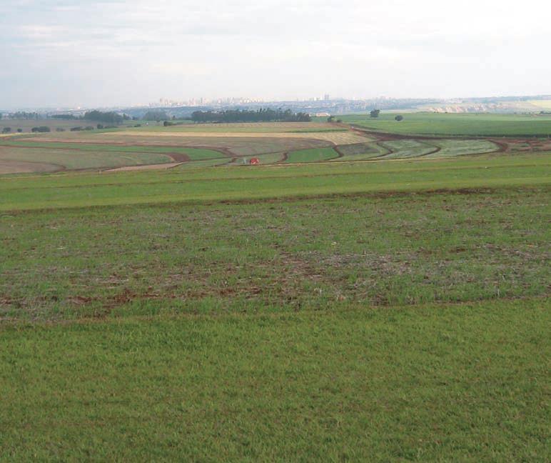 VEGETATIVA TERRAÇOS