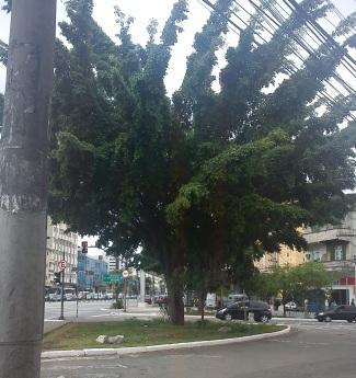 bairro a Avenida Jabaquara continuação da Avenida Domingos de Moraes com a Rua Luis Góes.