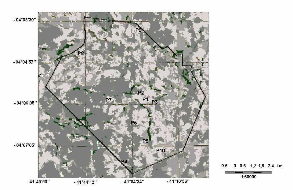 Parque, imagem de satélite e levantamento exploratório em campo. Foram alocadas dez parcelas de 20 m x 50 m, delimitadas com auxílio de mapas e georreferenciadas (Fig. 2).