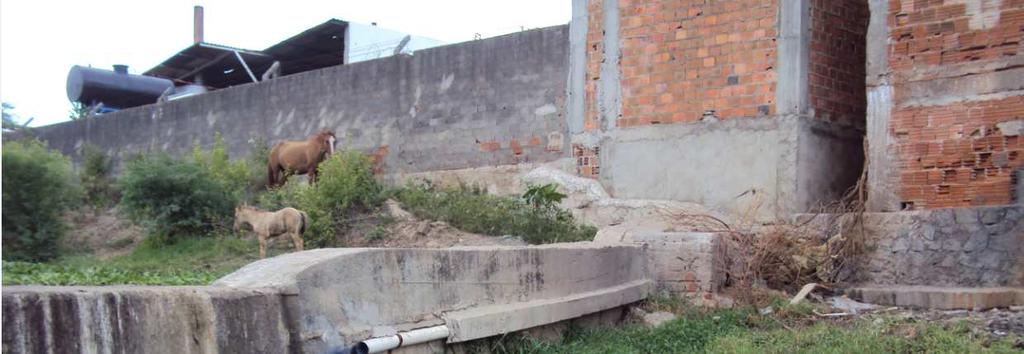 Figura 2: Lançamento de efluente sem tratamento no rio Capibaribe por uma lavanderia de jeans em Toritama- PE.