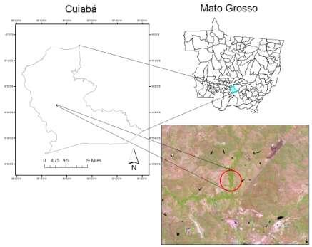4. METODOLOGIA 4.1. Área de estudo O estudo foi realizado em uma área de Cerrado localizada na Rodovia Manoel Pinheiro no km 13 na Fazenda Disa, no município de Cuiabá, MT (Figura 01).