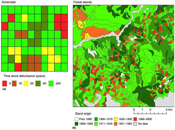 Análise histórica da paisagem Pearson, S. M. 2013. Landscape Ecology and Population Dynamics.