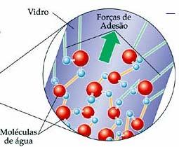 A força de adesão é a atração entre moléculas diferentes, ou seja, a afinidade das moléculas do líquido com as moléculas do tubo sólido. Atua no sentido de o líquido molhar o sólido.