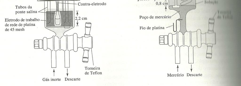 PONTECIOSTÁTICA REDE