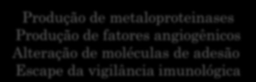 Aumento da proliferação Resistência a apoptose Perda da diferenciação Desenvolvimento do Tu primário Produção de metaloproteinases Produção de fatores angiogênicos: VEGF, angiogenina,