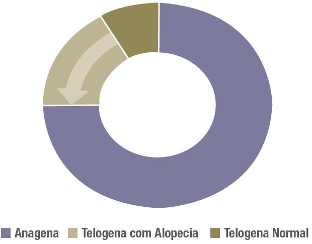 No cabelo saudável, há um equilíbrio natural entre o cabelo anágeno que cresce e o telógeno que cai.