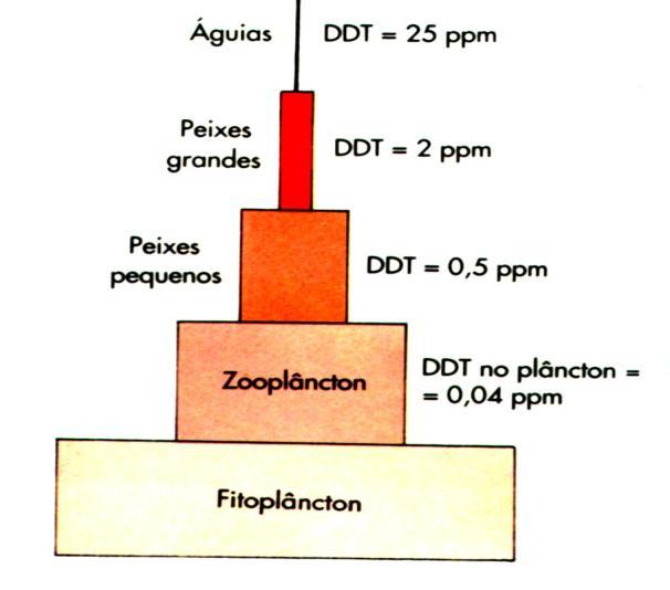 Analise a pirâmide que mostra a concentração do DDT em diferentes organismos e responda os itens propostos. 1. JUSTIFIQUE como o DDT, chegou até o ecossistema aquático. 2.