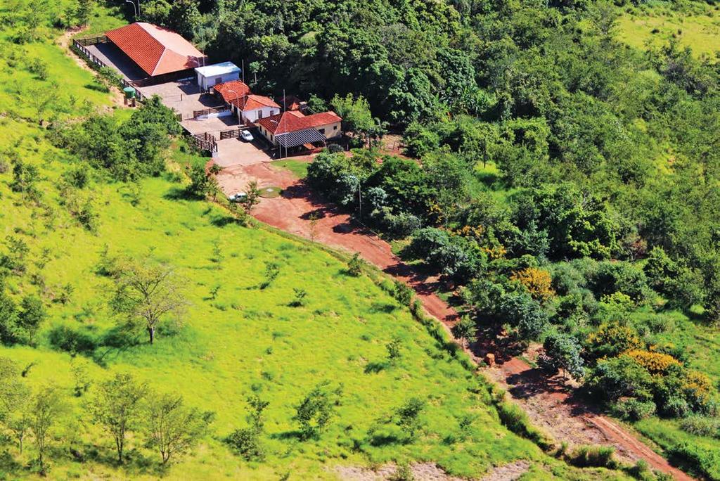 PAU FURADO STATE PARK General features: The Pau Furado State Park (PEPF) was set up on January 27, 2007 under the administration of the State Forestry Institute (IEF).