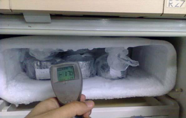 Figura 10. Corpos-de-prova isolados em filme plástico para congelamento.
