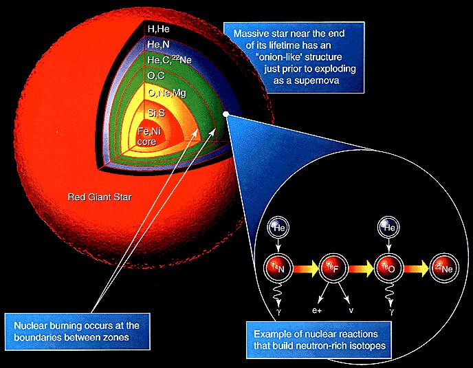 Estrelas de Nêutrons e Supernovas Estrelas com massas médias (entre 4 e 8 massas solares) são capazes de fundir elementos até formarem (no máximo) ferro (vimos no penúltimo slide o porquê