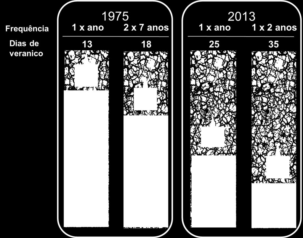 Evolução da probabilidade de ocorrência de veranicos após 38 anos Wolf, 1975 Carvalho et all, 2013 Plantas com raízes