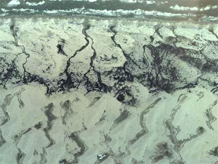 Figueiredo & Calliari 53 Figura 6. Áreas alagadas e orientação das dunas transversais nas proximidades do Farol de Mostardas.