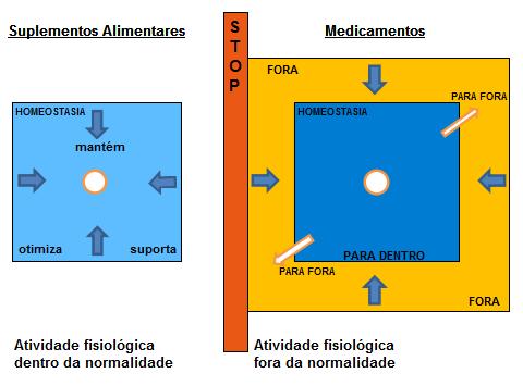 Figura 3 - Esquematização do modelo de Homeostasia. Fonte: (DGAV et al., 2016) Os limites do quadrado azul representam os limites da normalidade dos diferentes processos fisiológicos na Homeostasia.