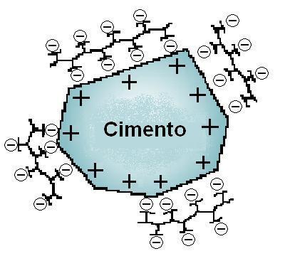 grupo polar aniônico na cadeia de hidrocarbonetos.