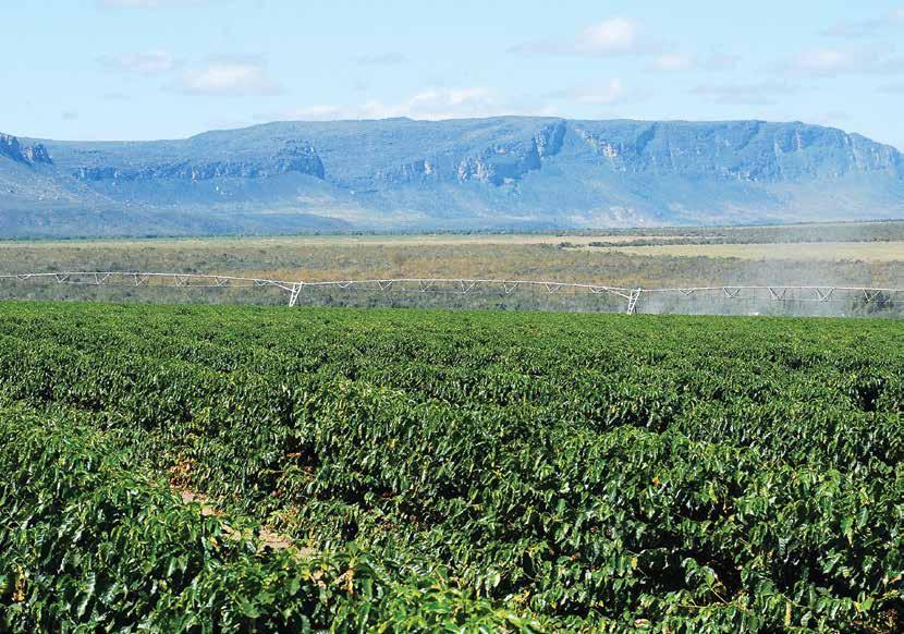 Nacional de Irrigação em Cafeicultura e o Simpósio de Pesquisa em Cafeicultura Irrigada.