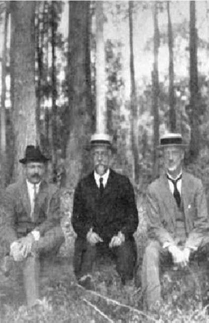 1904: Edmundo Navarro de Andrade deu início aos reflorestamentos experimentais para obter matéria-prima destinada à produção de lenha e dormentes para a Companhia Paulista de Estradas de Ferro 1914: