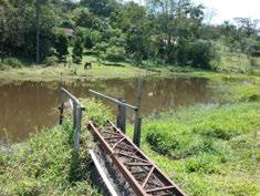 particular sem impedir o acesso de animais ao manancial