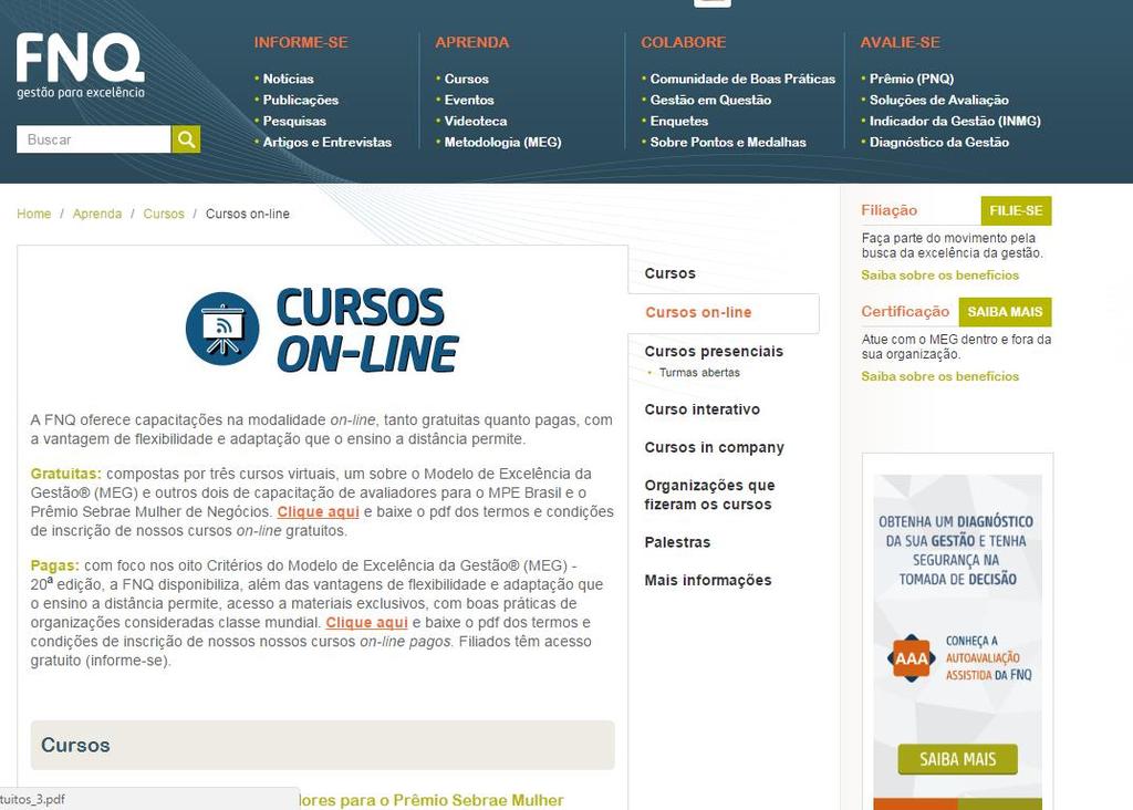 Como resultado, a página com os cursos on-line será exibida.