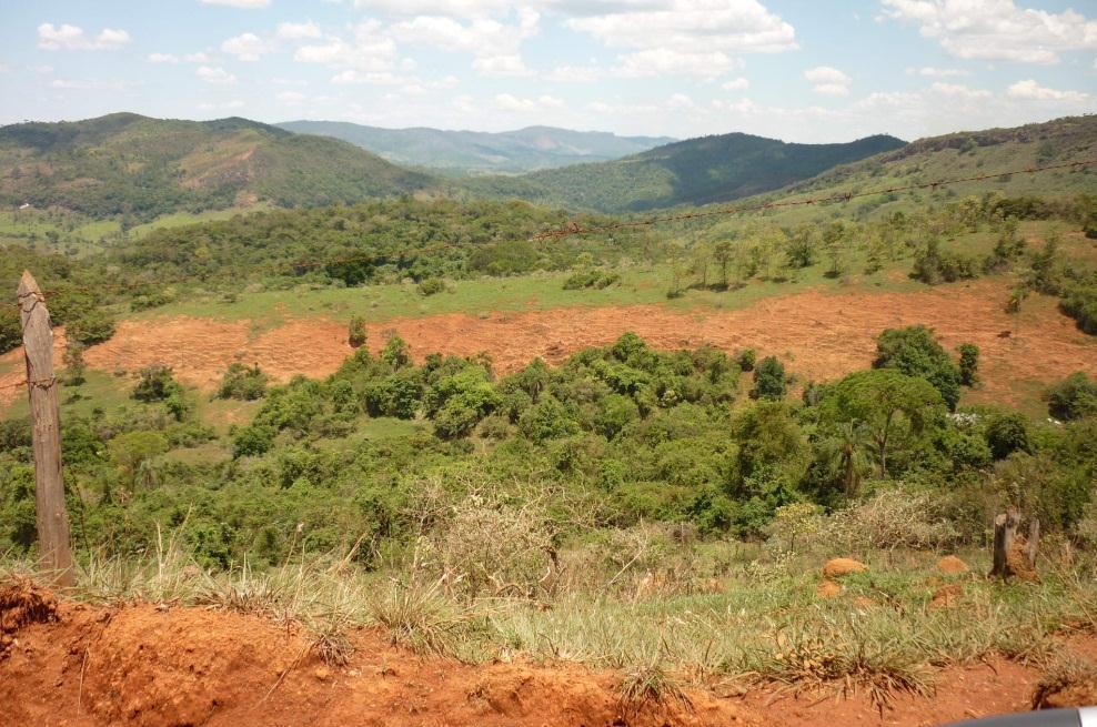 13 - Erosão laminar acentuada com perda total da cobertura vegetal (667342 / 7884811 UTM 23K, datum SAD-69)