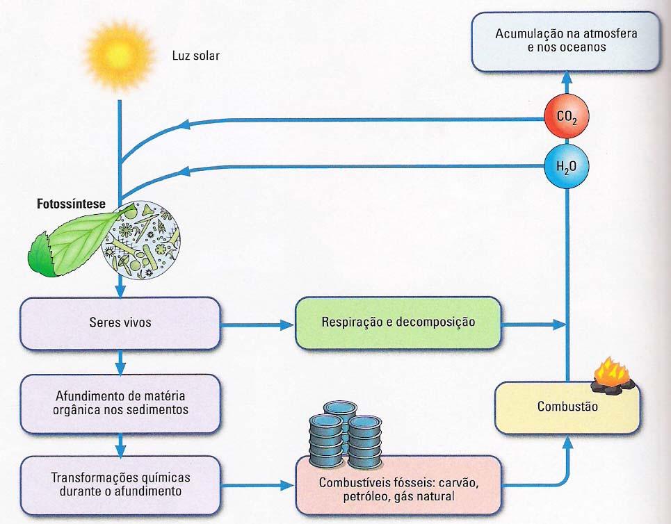 Na combustão de um carvão ou de produtos petrolíferos é mobilizada energia que foi armazenada pela fotossíntese há muitos milhões de anos.