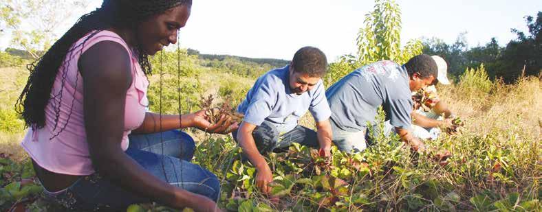 POVOS E COMUNIDADES TRADICIONAIS O rural brasileiro é um espaço de respeito e resgate de identidades tradicionais.