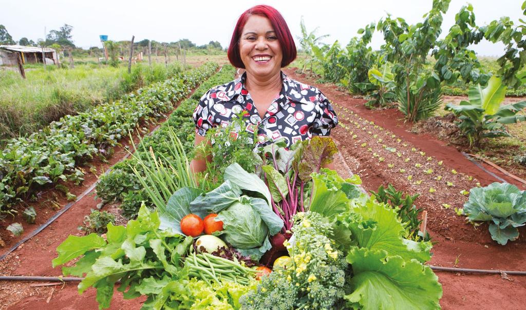 Estimular a produção de alimentos que contribuem com o controle dos índices da inflação.