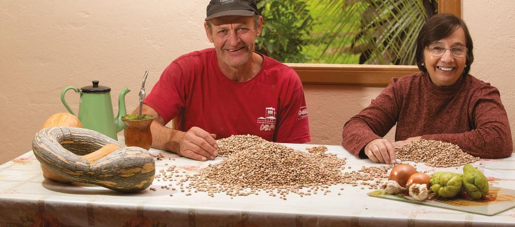 JUROS DE 2,5% AO ANO NO PRONAF MAIS ALIMENTOS PARA OS SEGUINTES INVESTIMENTOS: Compra de estruturas, como estufas, sistema de irrigação e equipamentos para automatização da produção; Correção da