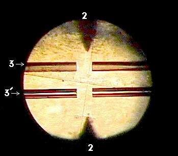 Cabos de Fibra Óptica Pode-se conectar as fibras de 3 maneiras Uso de soquetes