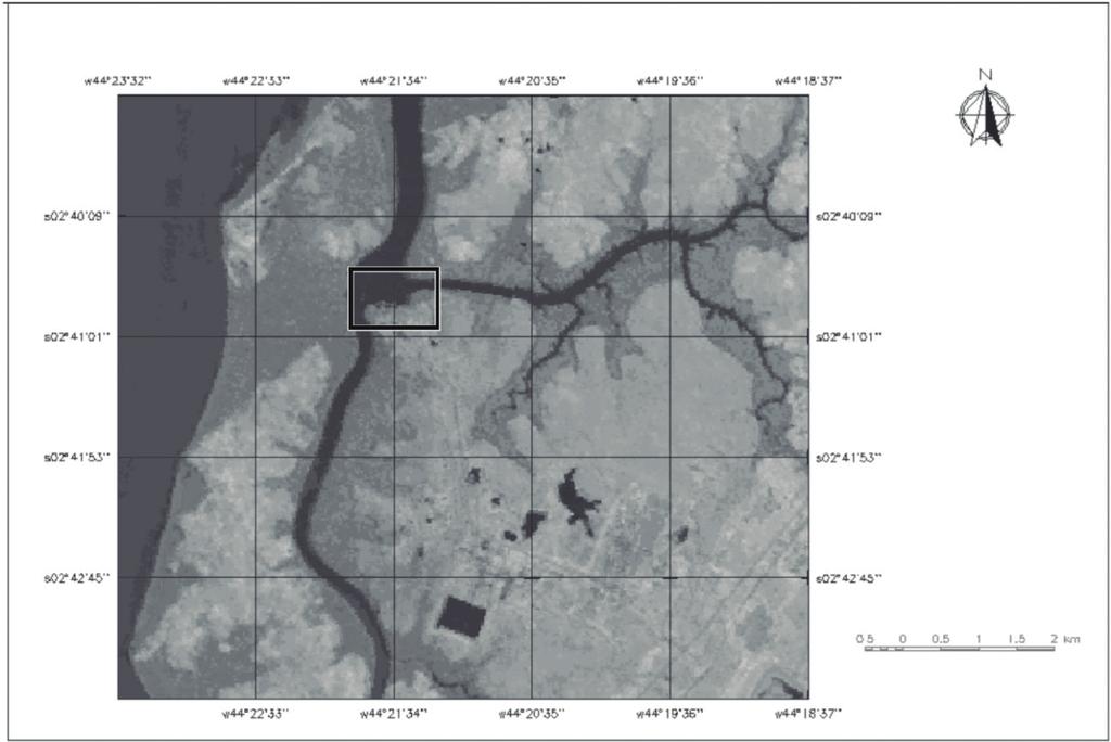 dos Cachorro, entre as coordenadas 02º34 0 S e 44º21 0 W (Figuras 1 e 2 ). Figura 1. Imagem da Ilha do Maranhão destacando a foz do rio dos Cachorros. Fonte: Teixeira, 2009. Figura 2.