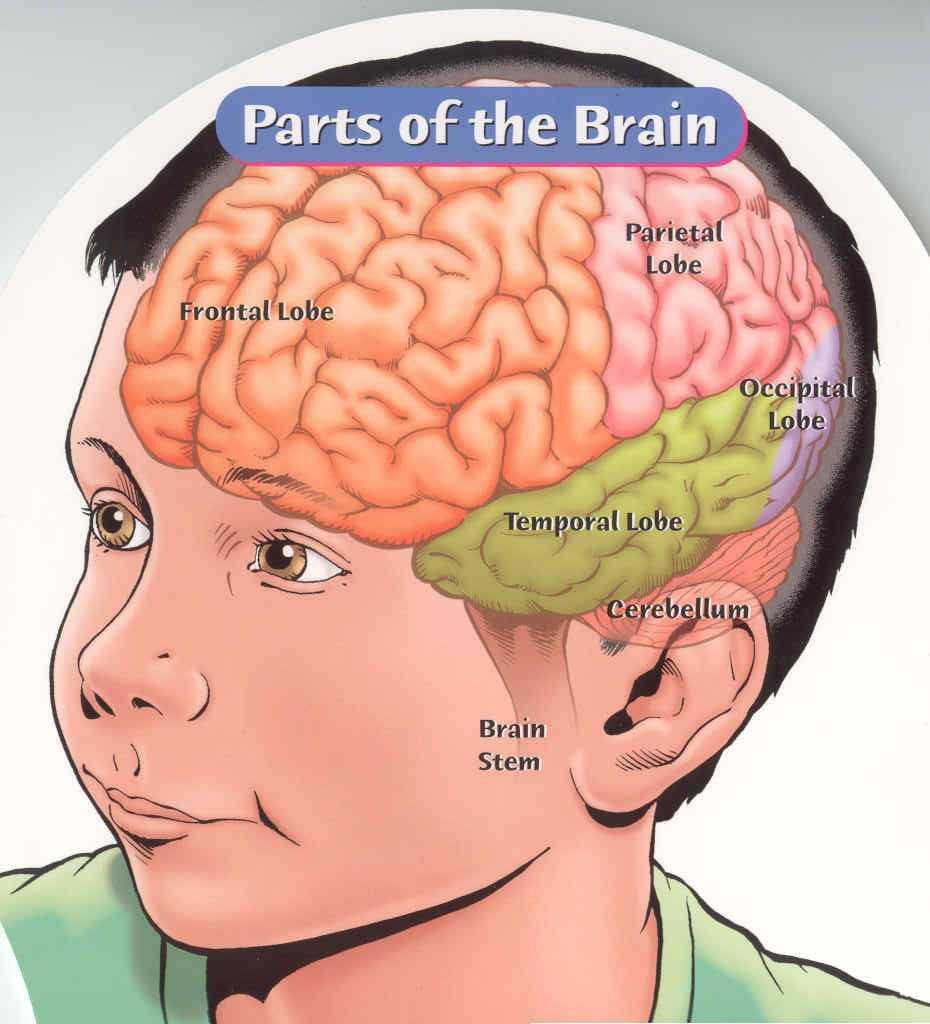 EPILEPSIA: o que é?