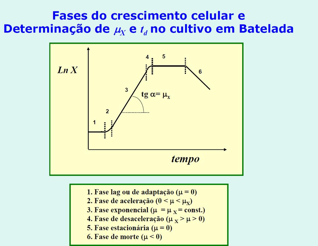 4) Crescimento microbiano Aula 3 -