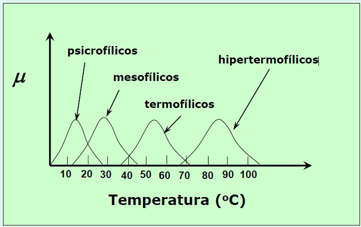 Influência da Temperatura sobre µ Por ser um sistema multi-enzimático, as reações individuais que ocorrem dentro da célula são