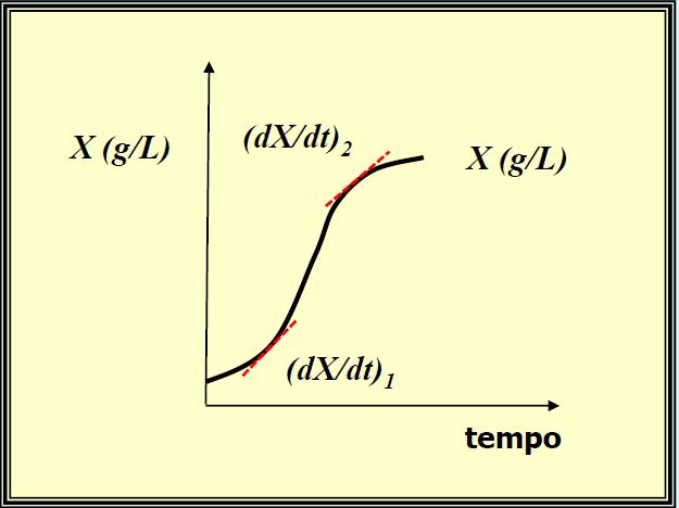 2) Estudo cinético de processos fermentativos Taxas específicas de crescimento (µ) Valor de X em um