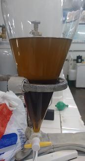 Figura 3: Cromatografia gasosa da mistura de ésteres do óleo de canola Figura 1: Biodiesel do óleo de canola neutralizado com magnesol 600R.