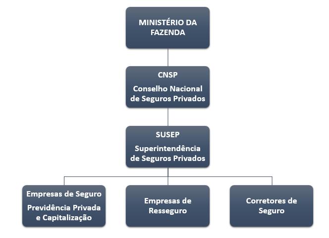 Estrutura do Mercado Segurador O Sistema Nacional de Seguros Privados, instituído pelo Decreto-Lei n.