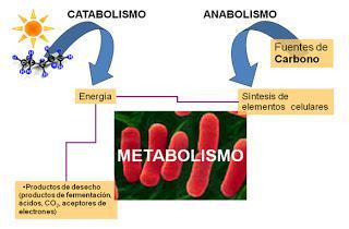 Definição UNIDADE ACADÊMICA DE CIÊNCIAS AGRÁRIAS CURSO DE GRADUAÇÃO EM AGRONOMIA DISCIPLINA: BIOQUÍMICA GERAL PROFESSORAS: Adriana Silva Lima e Márcia Aparecida Cezar Metabolismo Microbiano Chama-se