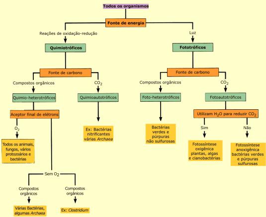 Classificação metabólica dos organismos Quanto a fonte de energia Células Fototróficas: - Luz solar como fonte primária de energia.