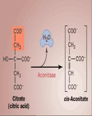 fosfato isomerase 2NAD + + 2P i