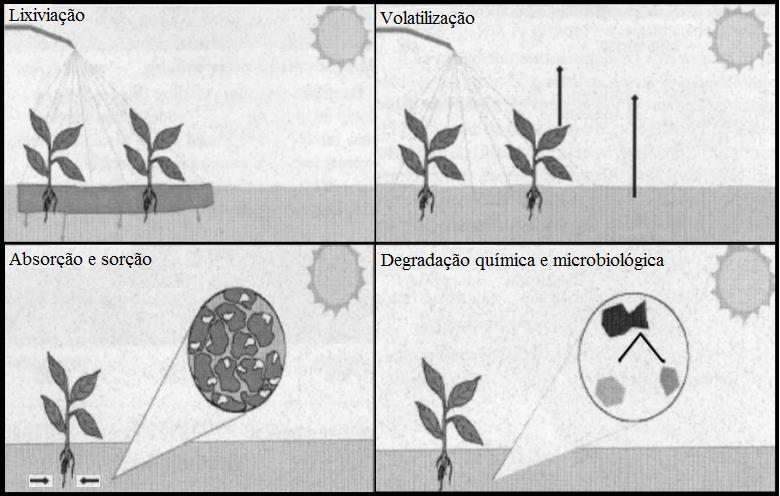 24 Figura 1 - Destinos potenciais dos pesticidas. Fonte: Karle et al., (1996). Adaptado pela Autora, 2014.