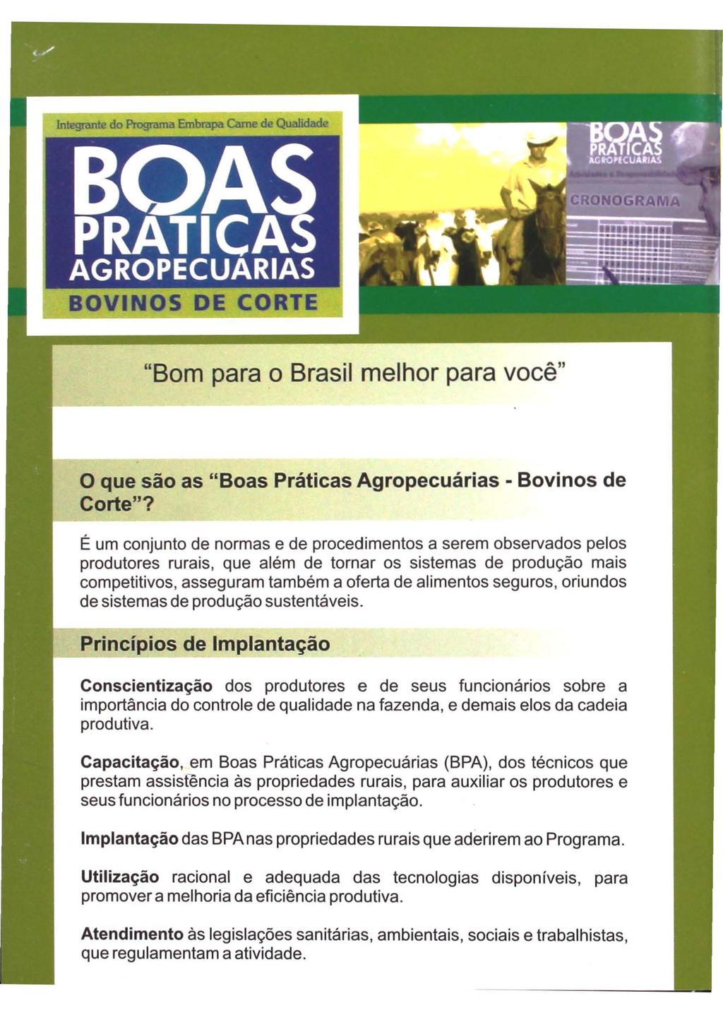 BOVINOS DE CORTE "Bom para o Brasil melhor para você" o que são as "Boas Práticas Agropecuárias - Bovinos de Corte"?
