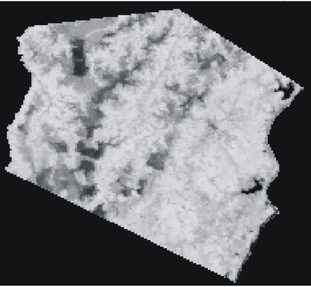 R = Solo G = Vegetação B = Sombra A NDVI B Figura 6. (A) Composição colorida (R = solo, G = vegetação B = sombra) e (B) Índice de vegetação NDVI. 4.