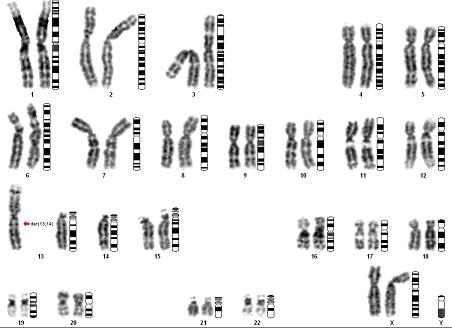 específicos; - permite detectar rápida e inequivocamente rearranjos cromossômicos complexos e simples e;
