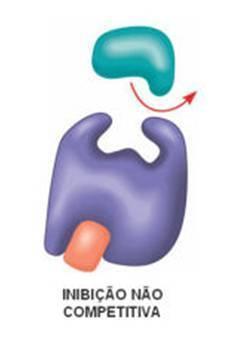 Tipos de inibição. Inibição irreversível. Composto une-se irreversivelmente a grupos funcionais do sítio ativo da enzima. Formação de complexos inativos.