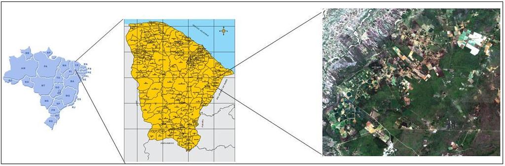 A região da Chapada do Apodi situa-se dentro do bioma Caatinga e preserva suas características em relação ao clima e vegetação predominante (Savana Estépica).