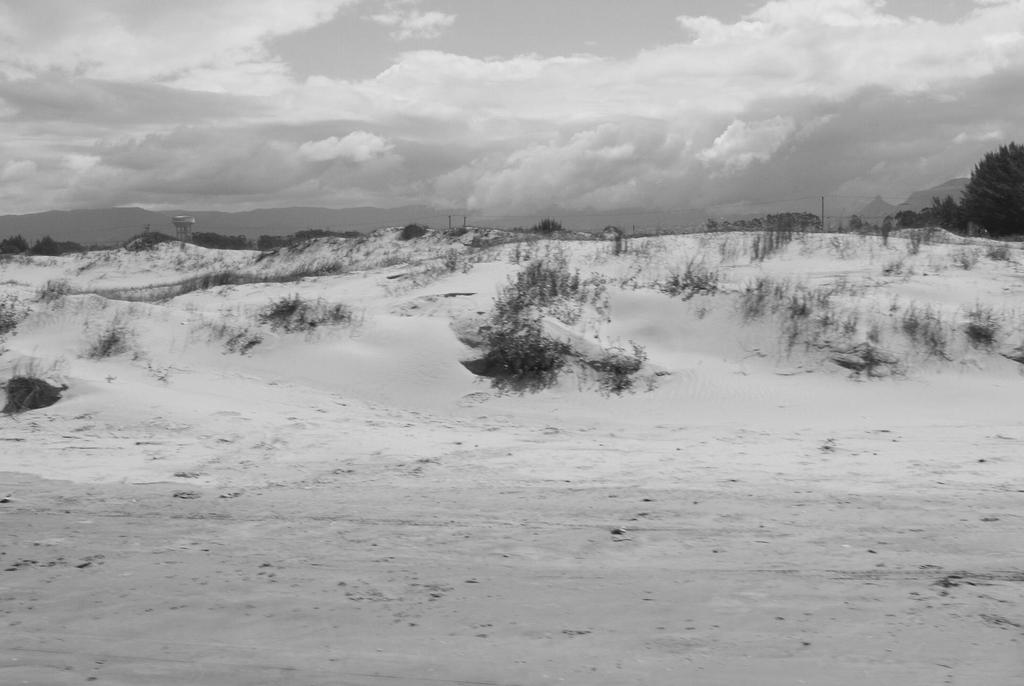 do Sal, desde a linha d água, pós-praia, e campo de dunas frontais. 38 Figura 2.