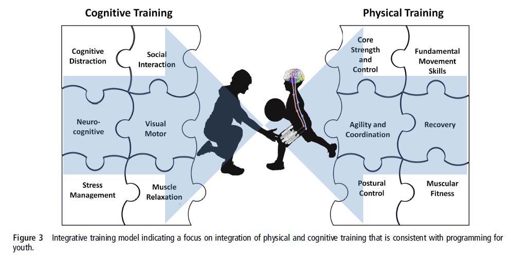 Modelo de Treinamento de Exercícios