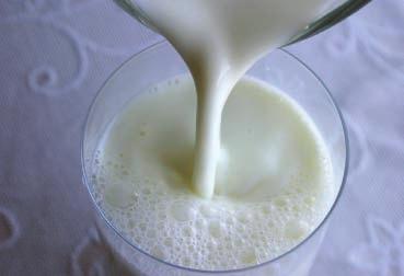 Conhecer as práticas de manejo para obtenção do leite ix todas as práticas de manejo que garantem a obtenção de leite de alta qualidade na fazenda aumentam a rentabilidade da propriedade rural: Leite