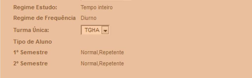 mostrado qual o Ano curricular para que vai, o plano, ramos